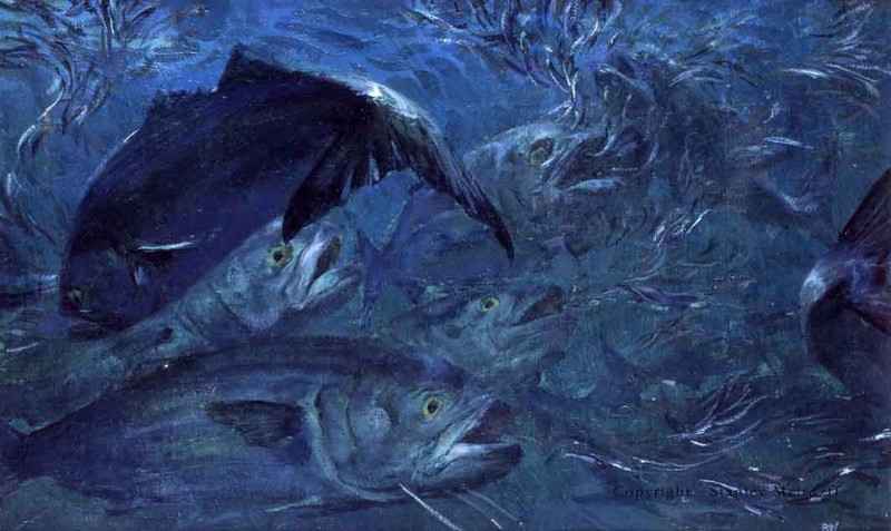 Полотно рыба. Тони кинерап рыбы. Томми кинерап и его рыбы. Картина рыбы. Картина рыба мечты.